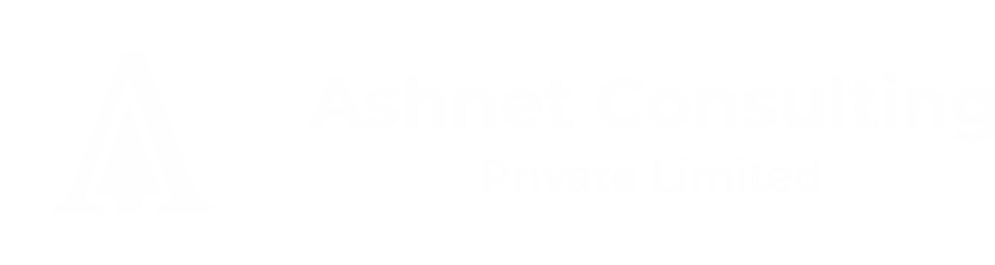 Ashnet Consulting