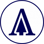 Logo Ashnet Consulting 1